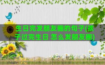 生日完发朋友圈的句子(孩子过完生日 怎么发朋友圈)